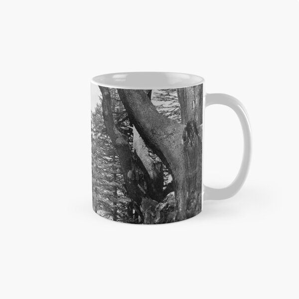 Item preview, Great Cedars of Lebanon, 1857 Bsharri Mount Lebanon landscape fine art black and white photograph by Francis Frith   designed and sold by Astrid Arkhangelsky.