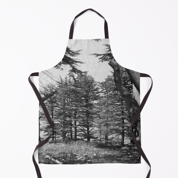 Item preview, Great Cedars of Lebanon, 1857 Bsharri Mount Lebanon landscape fine art black and white photograph by Francis Frith designed and sold by Astrid Arkhangelsky.