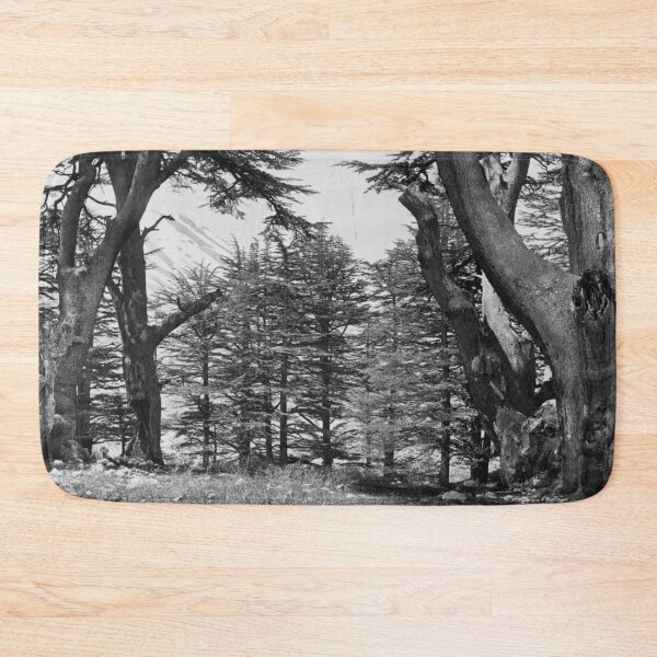 Item preview, Great Cedars of Lebanon, 1857 Bsharri Mount Lebanon landscape fine art black and white photograph by Francis Frith   designed and sold by Astrid Arkhangelsky.