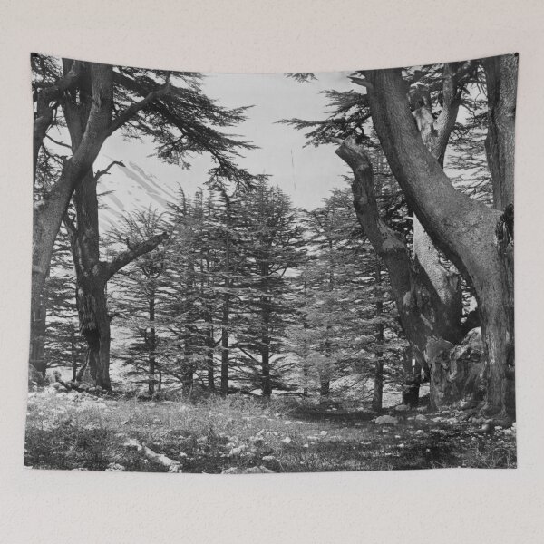 Item preview, Great Cedars of Lebanon, 1857 Bsharri Mount Lebanon landscape fine art black and white photograph by Francis Frith   designed and sold by Astrid Arkhangelsky.