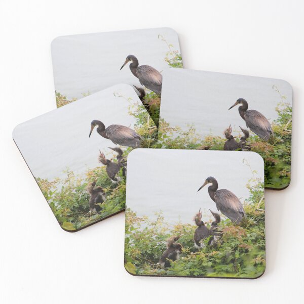 Item preview, Heron with Nesting Chicks designed and sold by Cynthia48.