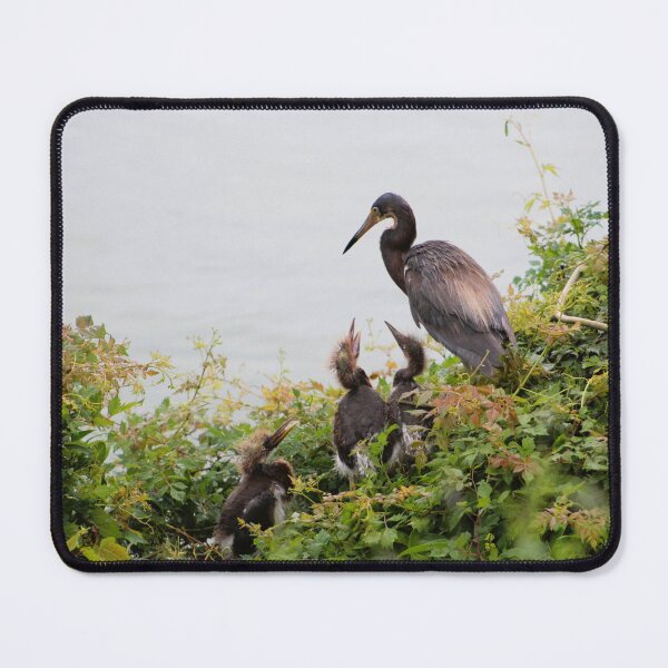 Item preview, Heron with Nesting Chicks designed and sold by Cynthia48.