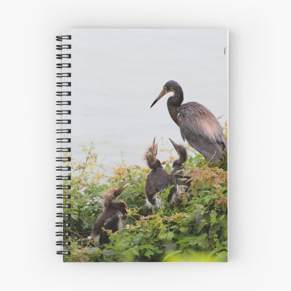 Item preview, Heron with Nesting Chicks designed and sold by Cynthia48.