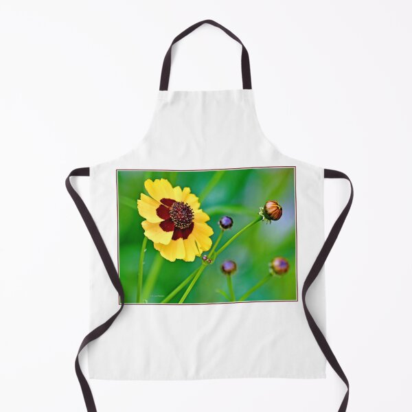 Item preview, Coreopsis Flower in Full Bloom and Buds designed and sold by AMacGPhilly.