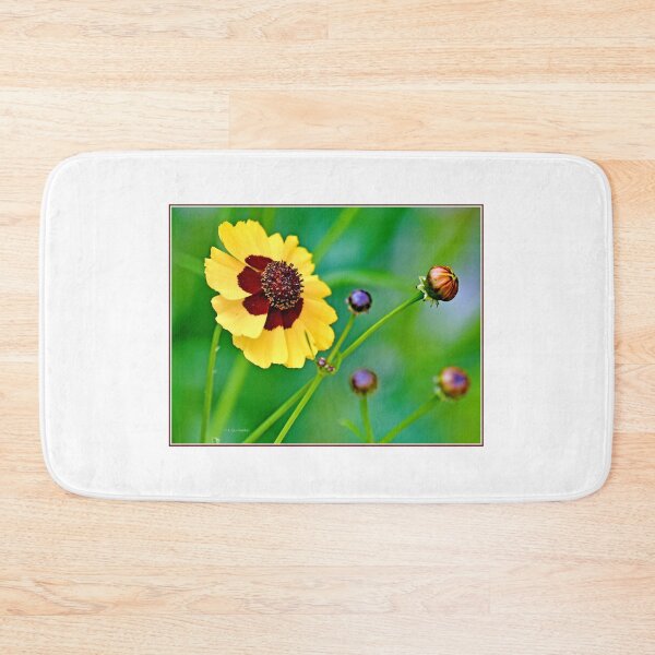 Item preview, Coreopsis Flower in Full Bloom and Buds designed and sold by AMacGPhilly.