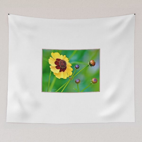 Item preview, Coreopsis Flower in Full Bloom and Buds designed and sold by AMacGPhilly.