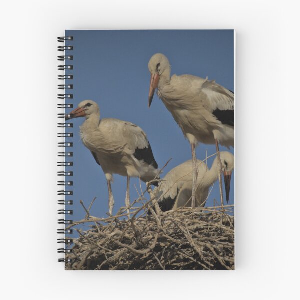 Item preview, Frozen reality - Beautiful nature 944 designed and sold by deep-sea-birds.