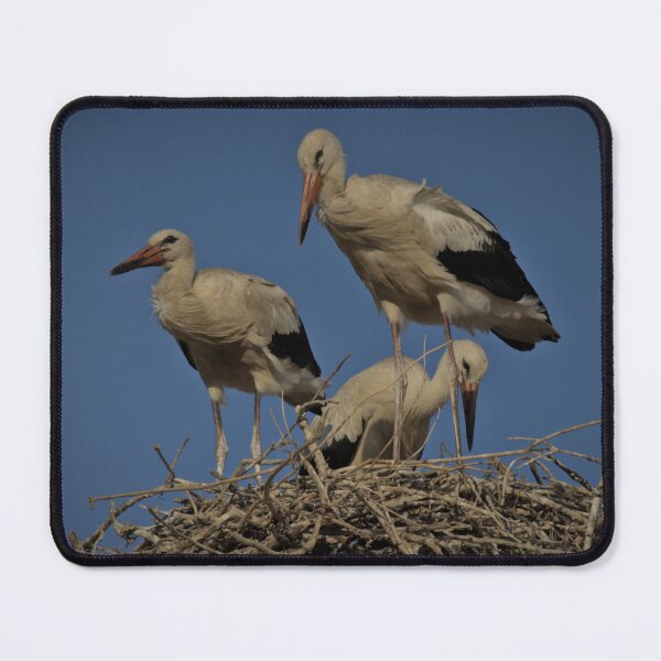 Item preview, Frozen reality - Beautiful nature 944 designed and sold by deep-sea-birds.