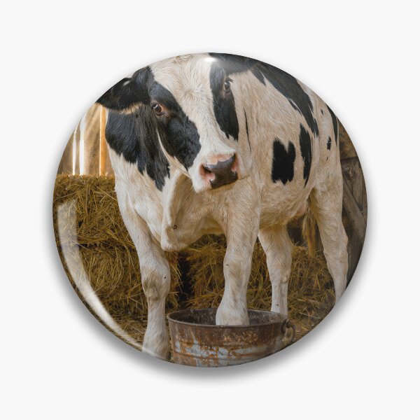 Item preview, Holstein Cow with One Foot in a Bucket designed and sold by Maria Dryfhout.
