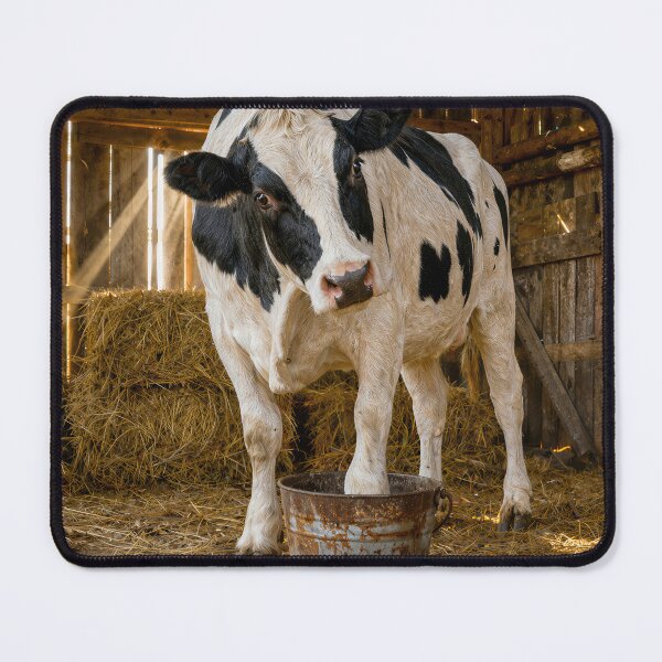 Item preview, Holstein Cow with One Foot in a Bucket designed and sold by Maria Dryfhout.