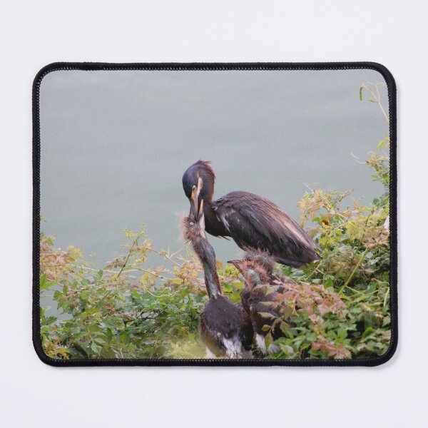 Item preview, Heron Feeding Chicks by the Water designed and sold by Cynthia48.