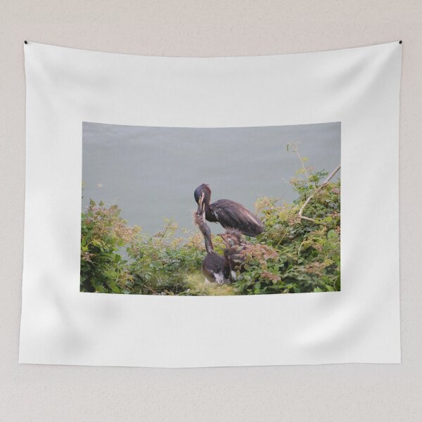 Item preview, Heron Feeding Chicks by the Water designed and sold by Cynthia48.