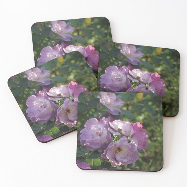 Item preview, Pastel purple roses in the garden - Soft nature photography designed and sold by Cha-s-lens.