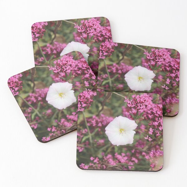 Item preview, White flower on pink background - Soft nature photography designed and sold by Cha-s-lens.