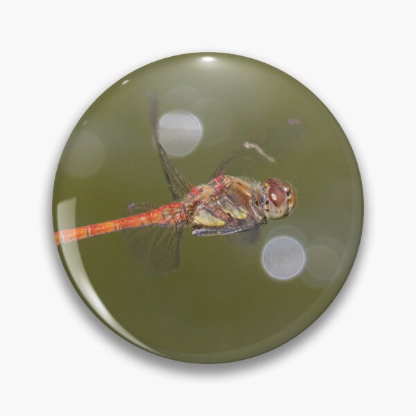 Item preview, Common Darter designed and sold by LaurenTucker.