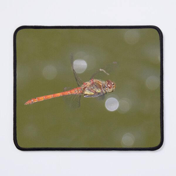 Item preview, Common Darter designed and sold by LaurenTucker.