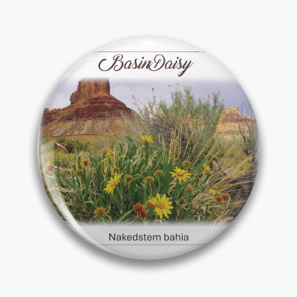 Item preview, Wild yellow desert flowers bloom beneath towering red rock formations in the American Southwest. designed and sold by Kabbrisons.