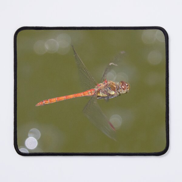 Item preview, Common Darter designed and sold by LaurenTucker.