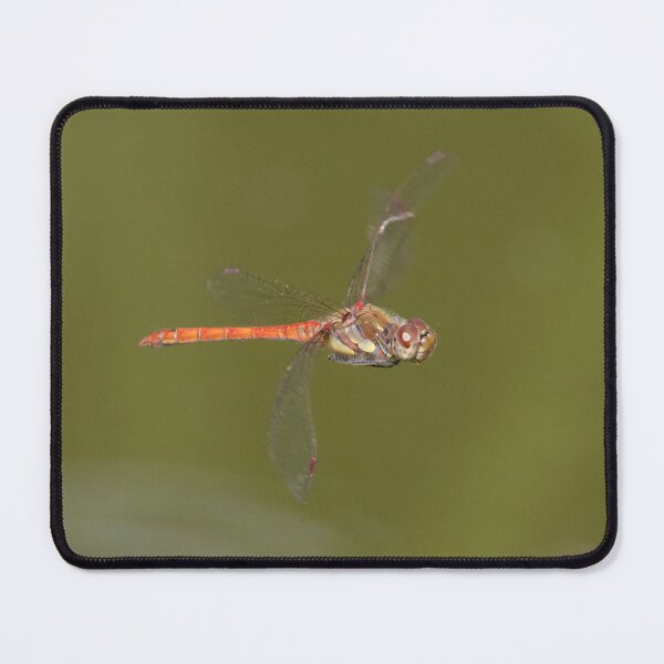 Item preview, Common Darter designed and sold by LaurenTucker.