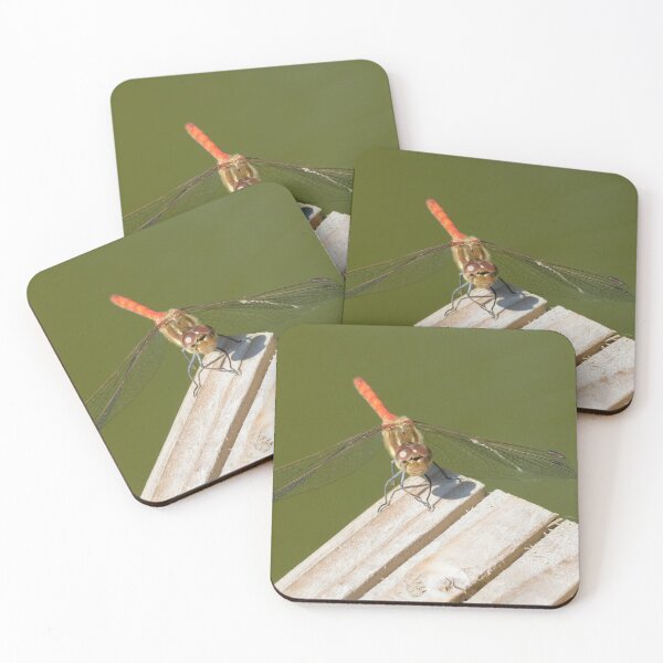 Item preview, Common Darter designed and sold by LaurenTucker.
