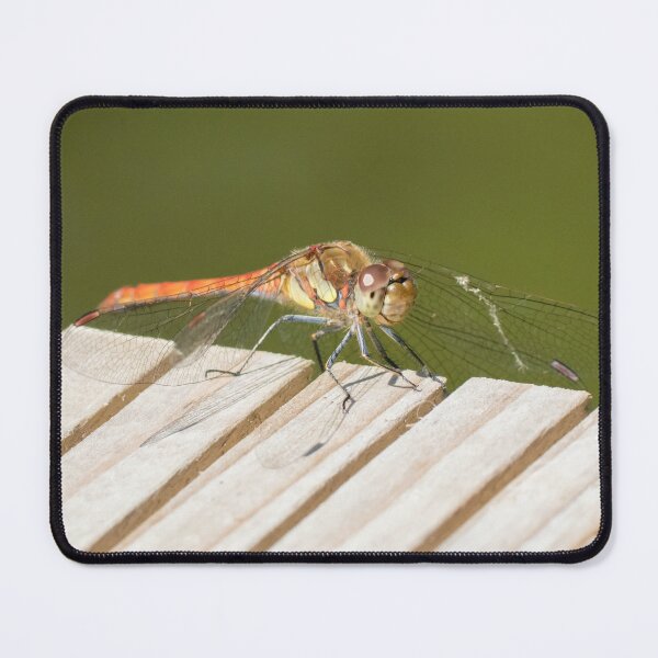 Item preview, Common Darter designed and sold by LaurenTucker.