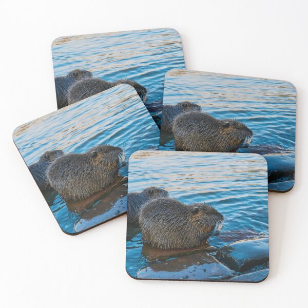 Item preview, Nutria Invasion designed and sold by Eidetic Photos.