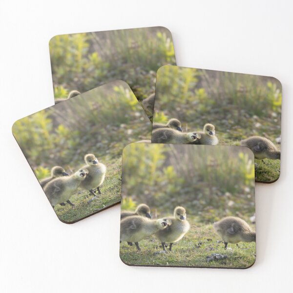 Item preview, Adorable Fluffy Gosling Squad Playing in the Sun designed and sold by OnHeathAndMoor.
