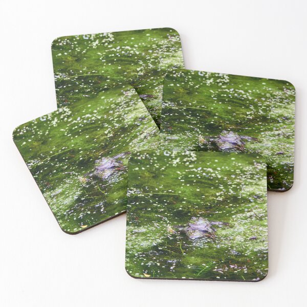 Item preview, Caught in the Act designed and sold by Eidetic Photos.