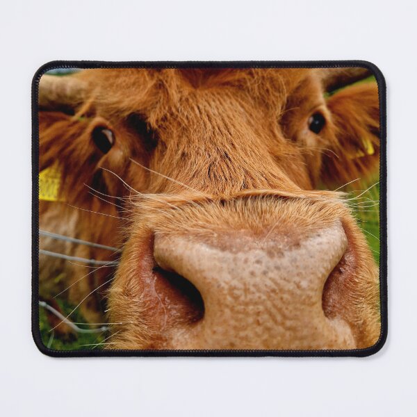 Item preview, Highland Cow designed and sold by Pix-Perfect.