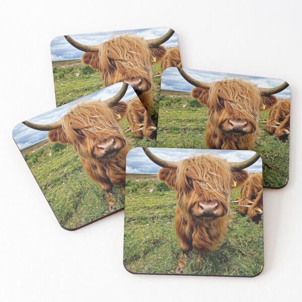 Item preview, Highland Cow #2 designed and sold by Pix-Perfect.