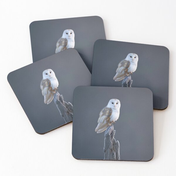 Item preview, Majestic Barn Owl Perched in Winter Light designed and sold by OnHeathAndMoor.