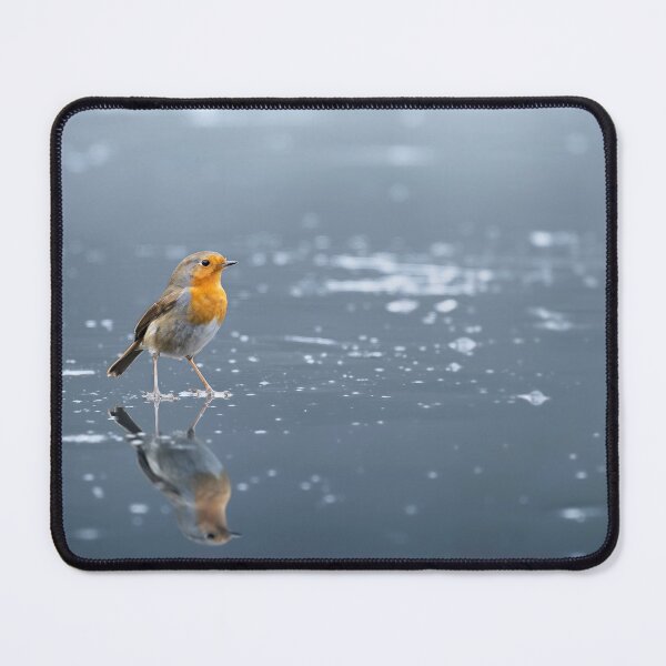 Item preview, Winter Robin Reflection on Frozen Lake designed and sold by OnHeathAndMoor.