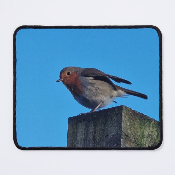 Item preview, Robin designed and sold by Pix-Perfect.