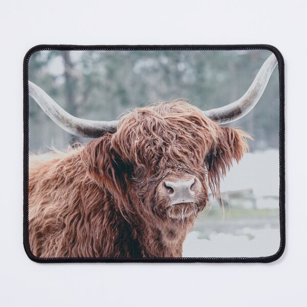 Item preview, A Highland Hello designed and sold by The Art Framing Company.