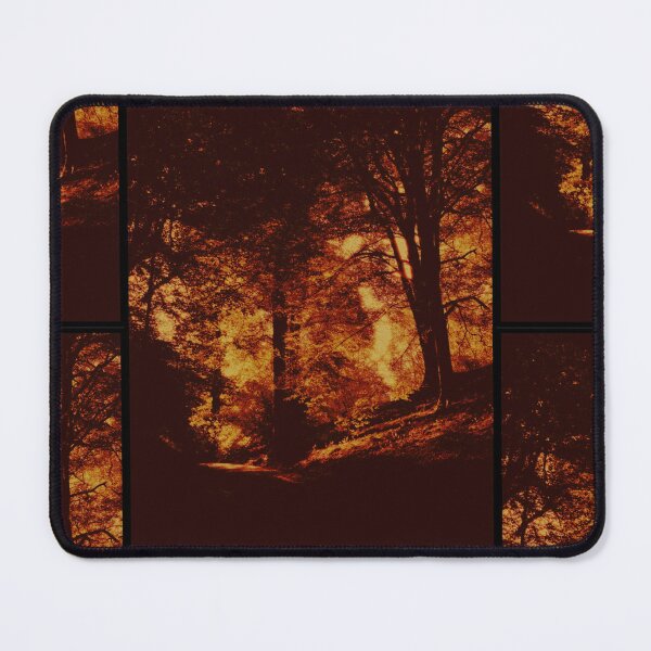Item preview, within the trees at dunblane (scotland) (may 2026) designed and sold by photosbykel.