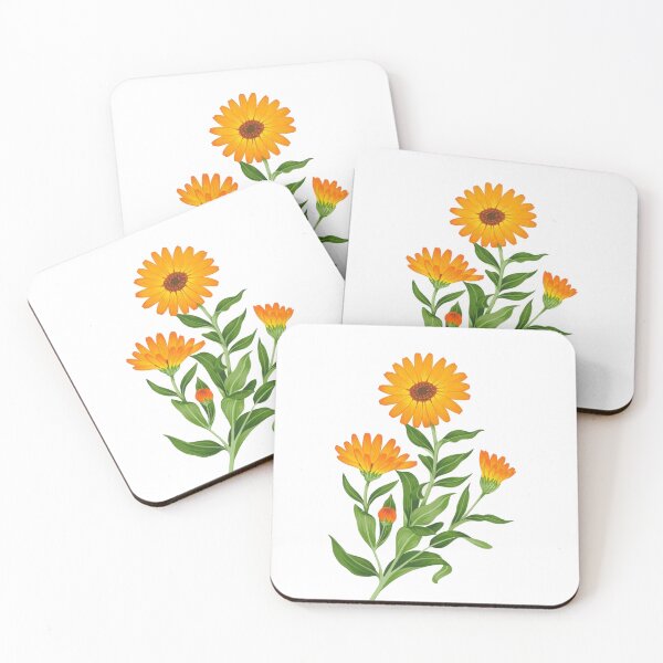 Item preview, Calendula (Pot Marigold) Botanical Illustration designed and sold by yumnedolesa1.