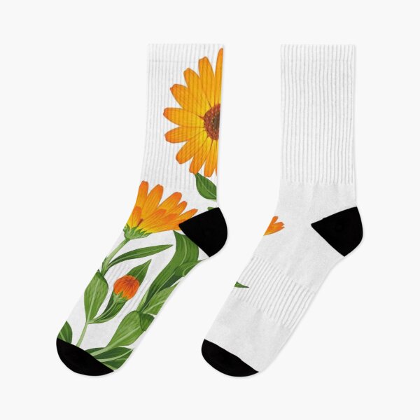 Item preview, Calendula (Pot Marigold) Botanical Illustration designed and sold by yumnedolesa1.
