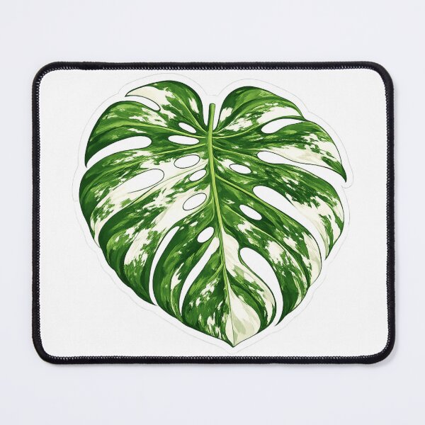 Item preview, Rare Monstera Albo Plant Mom Aesthetic Sticker designed and sold by RouniBoutique.