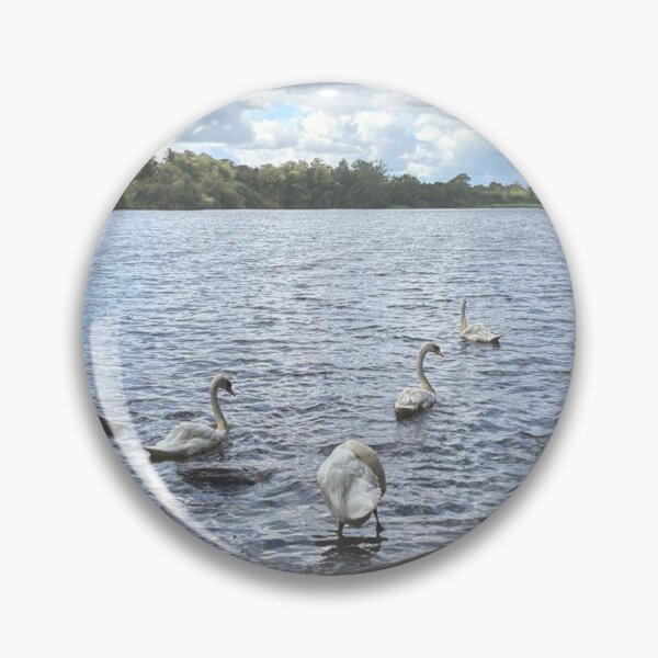 Item preview, Mute Swans on Bolam Lake in Northumberland designed and sold by Violaman.