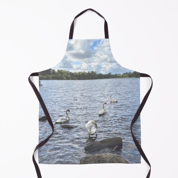 Item preview, Mute Swans on Bolam Lake in Northumberland designed and sold by Violaman.