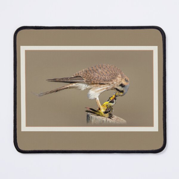 Item preview, Kestrel With Prey designed and sold by CarolM.
