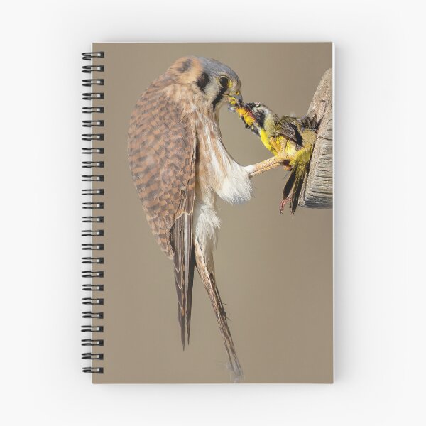 Item preview, Kestrel With Prey designed and sold by CarolM.