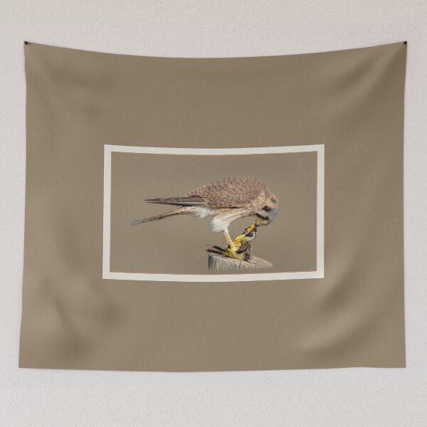 Item preview, Kestrel With Prey designed and sold by CarolM.