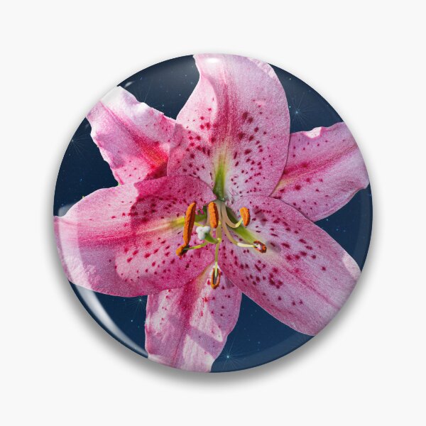 Item preview, Not A Stargazer designed and sold by Steve Purnell Photography.