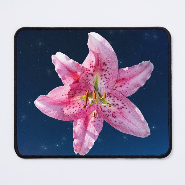 Item preview, Not A Stargazer designed and sold by Steve Purnell Photography.