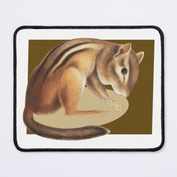 Item preview, Chipmunk On A Brown Backcolor designed and sold by TudyEvansio.