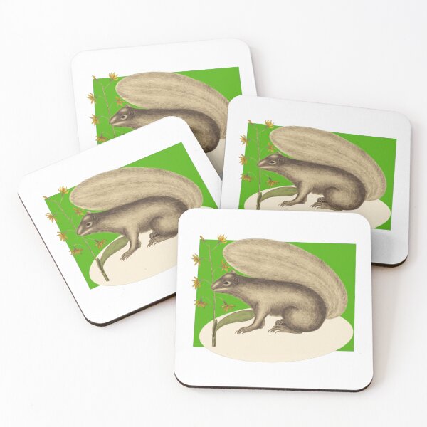 Item preview, Squirrel On A Green Backcolor designed and sold by TudyEvansio.
