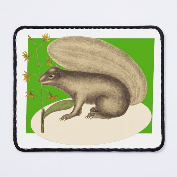 Item preview, Squirrel On A Green Backcolor designed and sold by TudyEvansio.