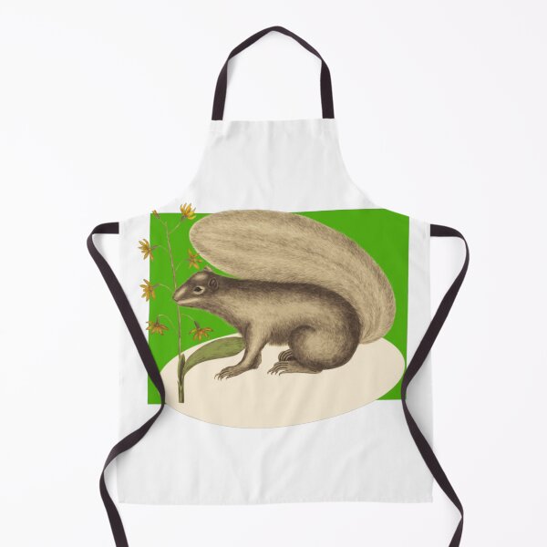 Item preview, Squirrel On A Green Backcolor designed and sold by TudyEvansio.