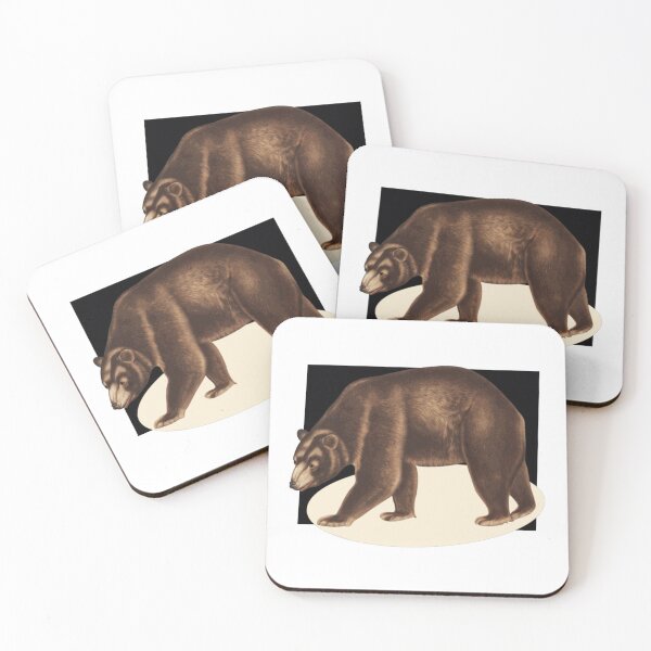 Item preview, Bear On A Black Backcolor designed and sold by TudyEvansio.